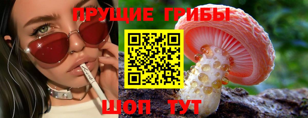 Псилоцибиновые грибы GOLDEN TEACHER  Вход с VPN  Псилоцибиновые грибы Cubensis  Воскресенск 